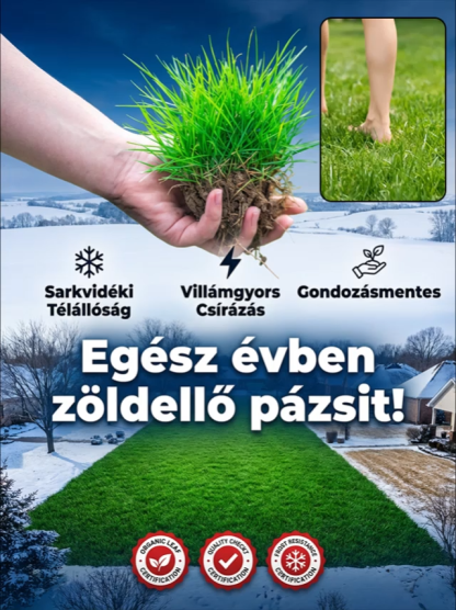 Unja a hétvégi fűnyírást? Itt a Prémium Ír Törpepázsit:【Csírázási arány 99%】Négyszezonos fagyálló pázsitmag