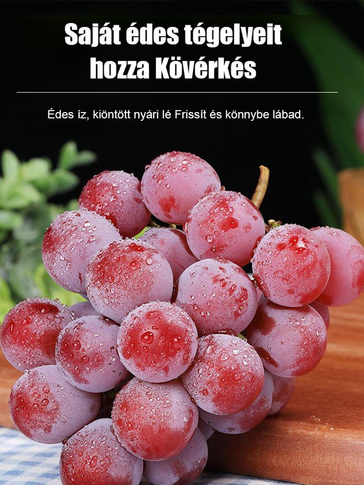 🍇 Queen Nina: A kerted ékköve rubinvörös szőlővel! Felejtse el a bonyolult permetezést és támrendszert.