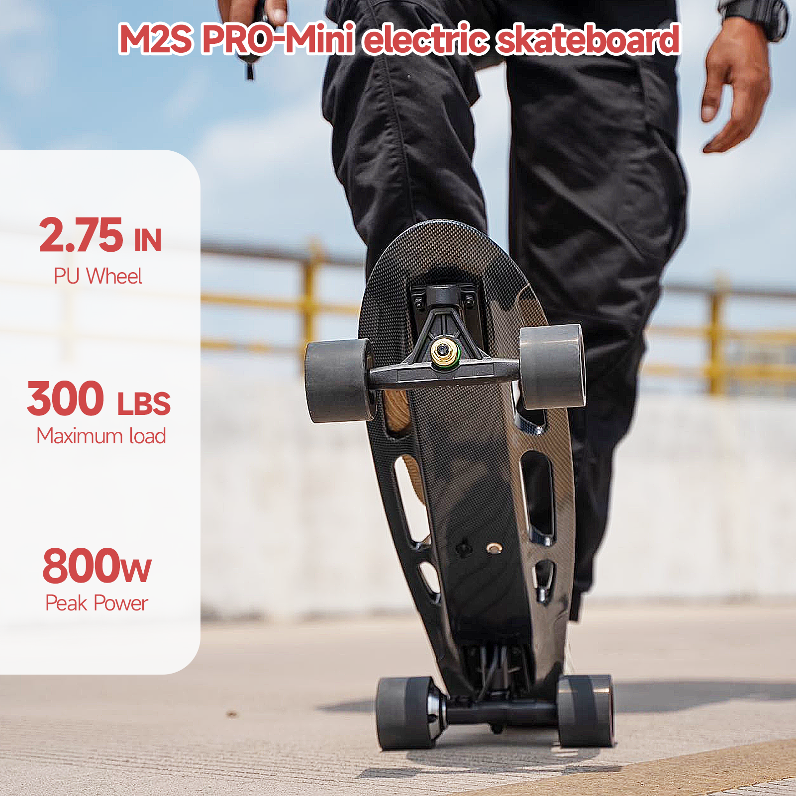 DNASKATE-M2S/PRO-DNASKATE