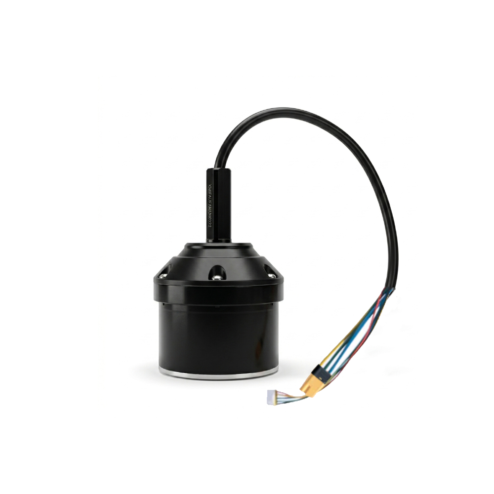 V4/V20 Hub motor