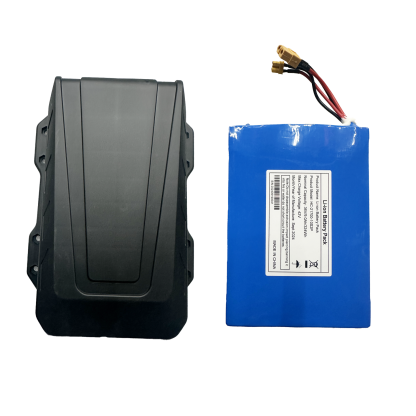 DNASKATE V4 Electric skateboard battery. lithium battery 10s2p 21700-DNASKATE