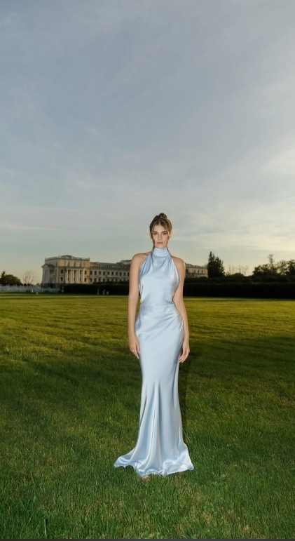 Ladies' Neck Strap Hollow Out Solid Color Elegant Evening Dress