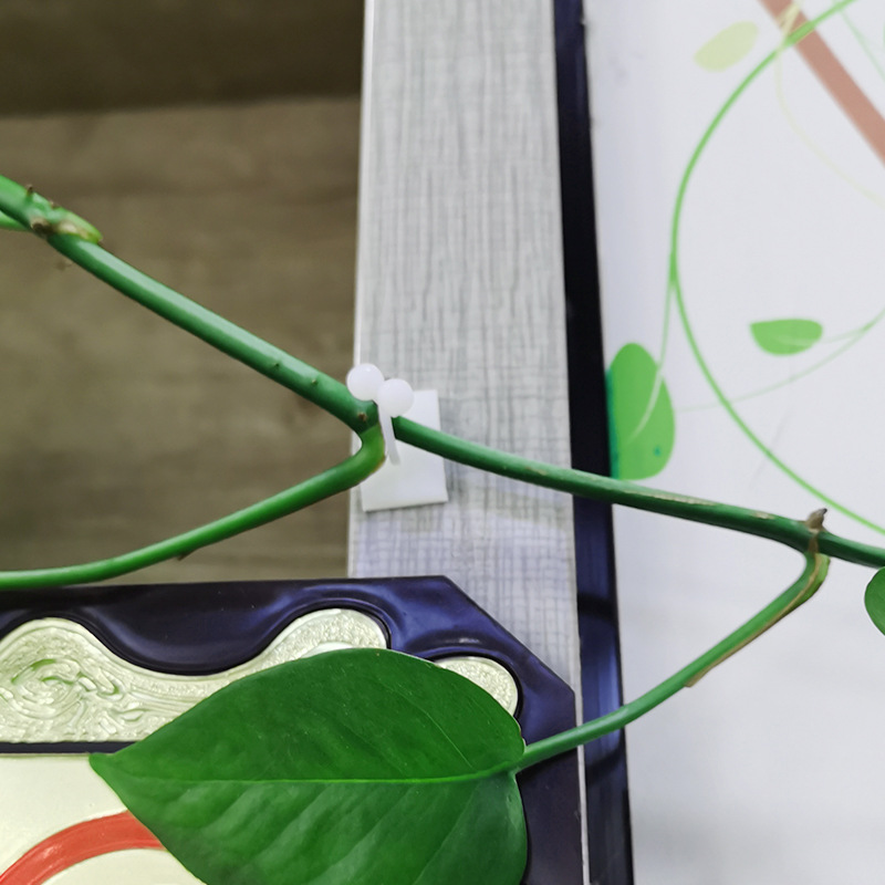 17967665607_1759821289