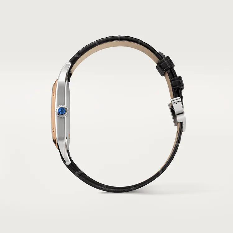 SANTOS-DUMONT WATCH