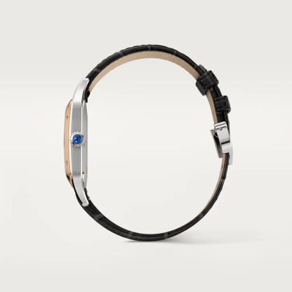 SANTOS-DUMONT WATCH