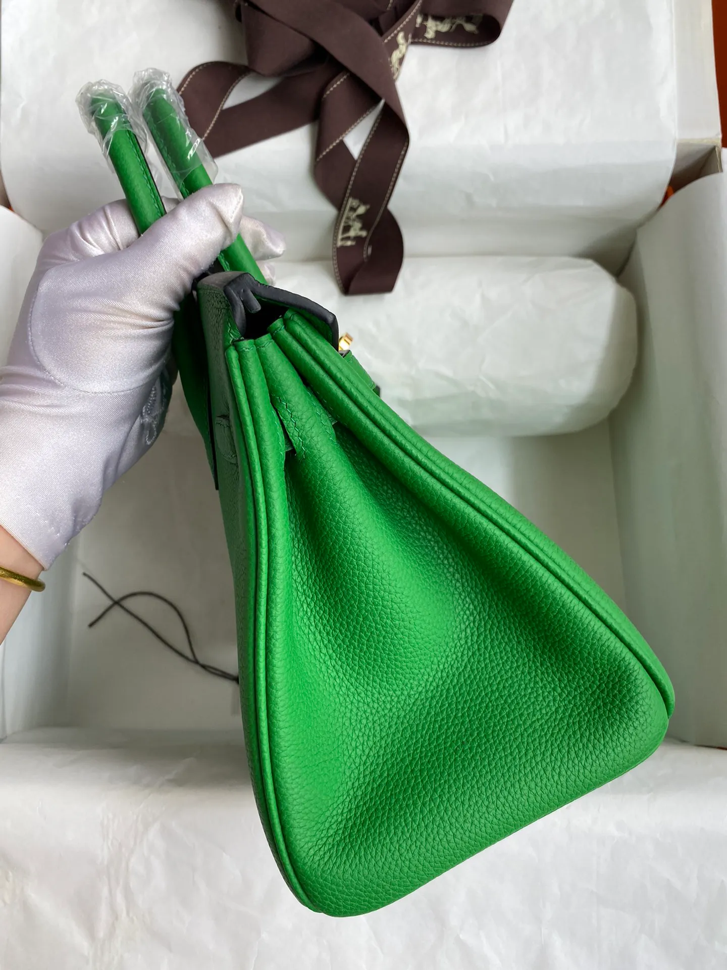 Birkin 25/30/35 Bag Bambou (Bamboo Green) Togo Leather