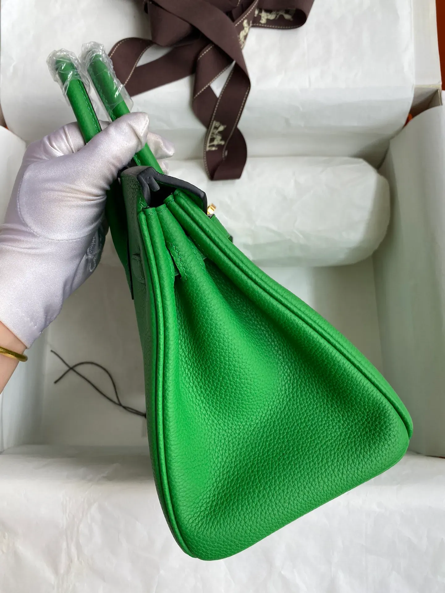 Birkin 25/30/35 Bag Bambou (Bamboo Green) Togo Leather