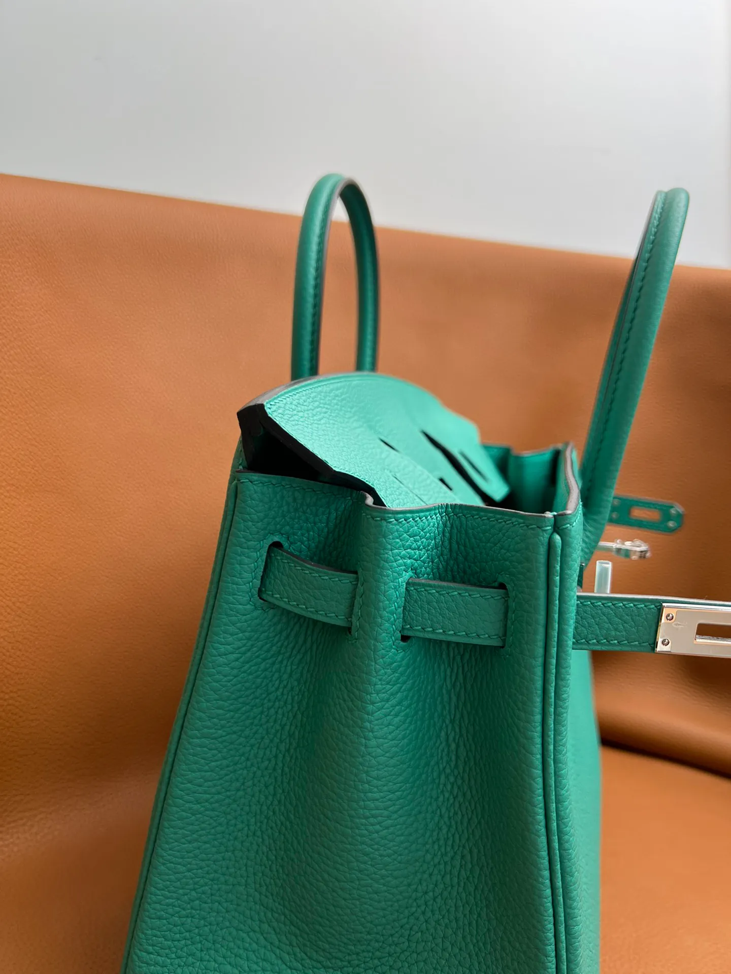 Birkin 25/30/35 Bag Vert Verone (Verona Green) Togo Leather