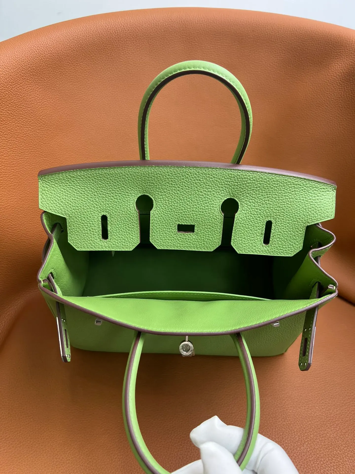 Birkin 25/30/35 Bag Vert Criquet (Avocado Green) Togo Leather