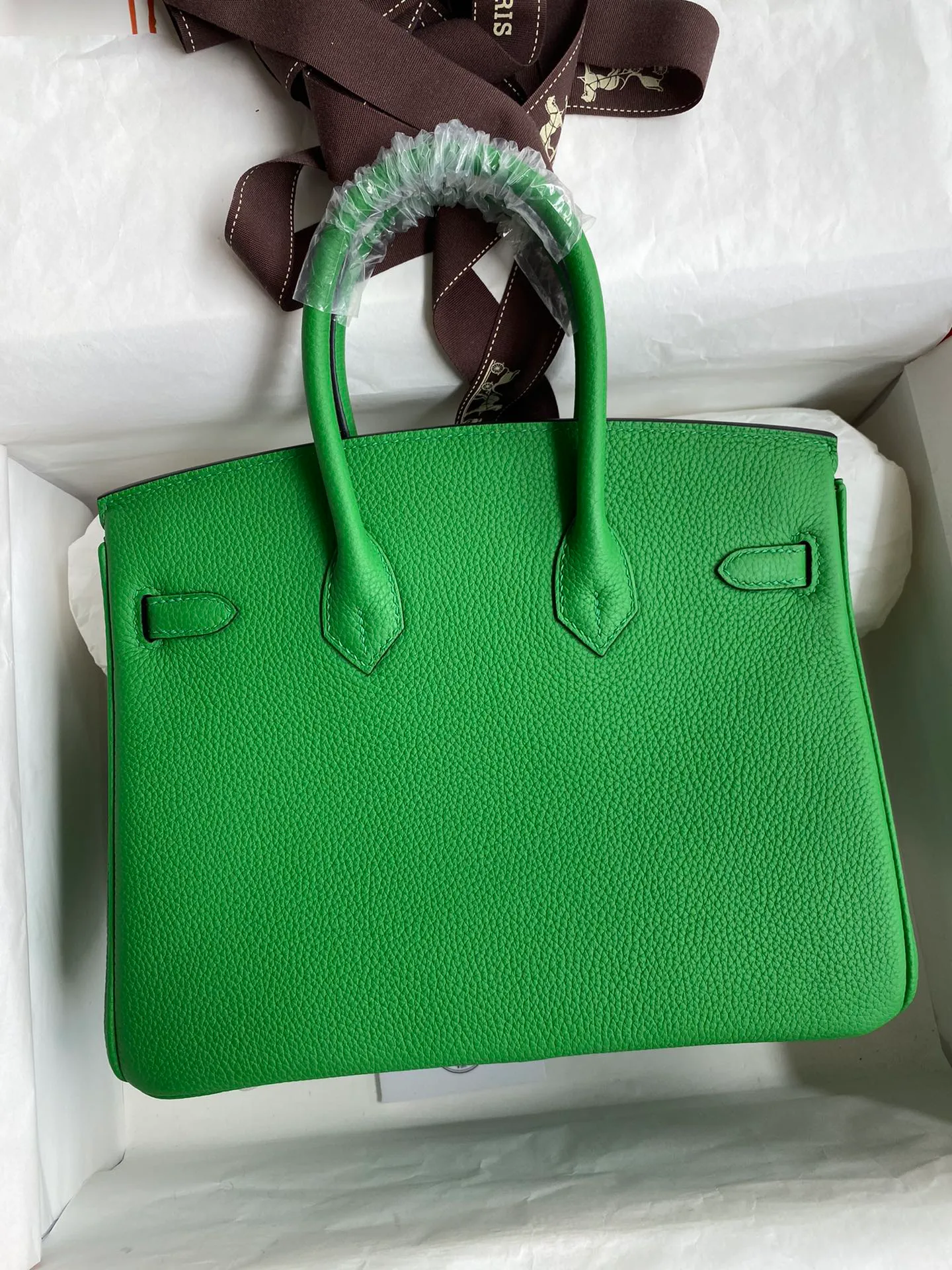 Birkin 25/30/35 Bag Bambou (Bamboo Green) Togo Leather