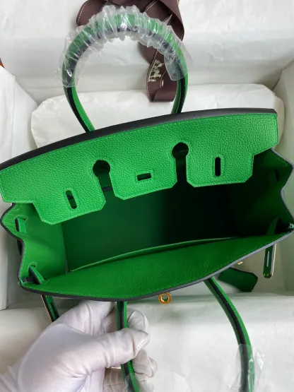 Birkin 25/30/35 Bag Bambou (Bamboo Green) Togo Leather