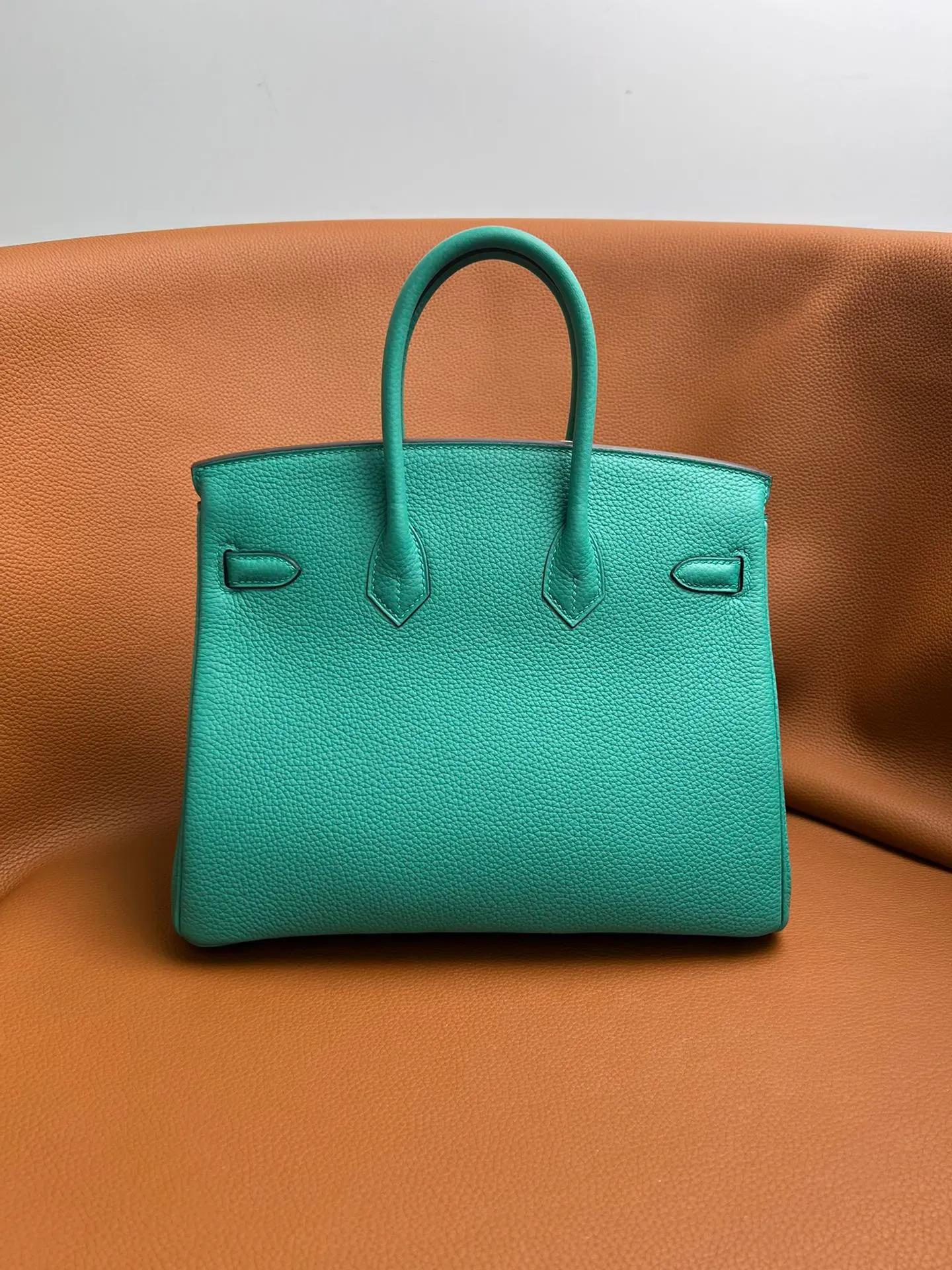 Birkin 25/30/35 Bag Vert Verone (Verona Green) Togo Leather