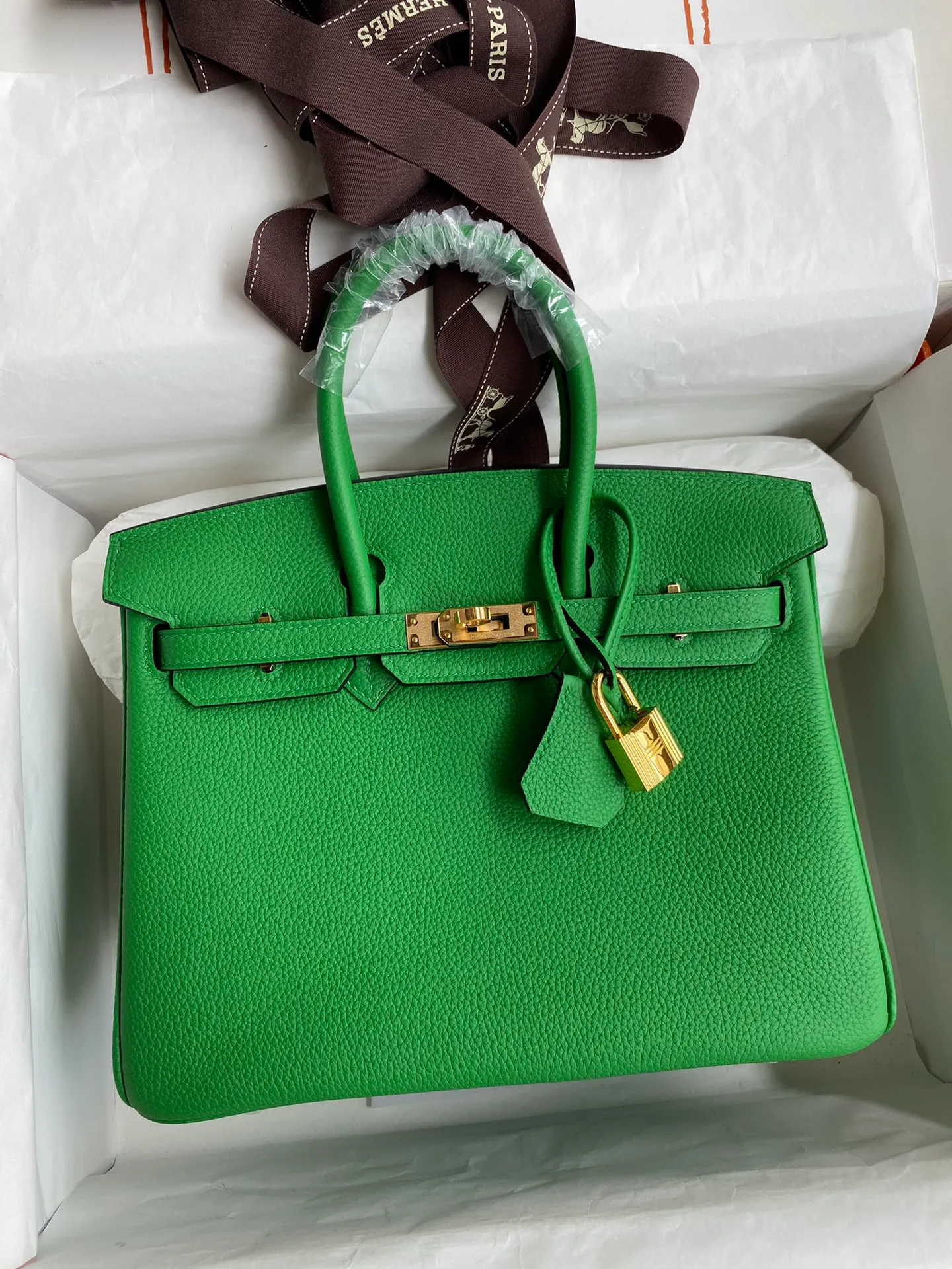 Birkin 25/30/35 Bag Bambou (Bamboo Green) Togo Leather