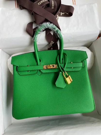 Birkin 25/30/35 Bag Bambou (Bamboo Green) Togo Leather
