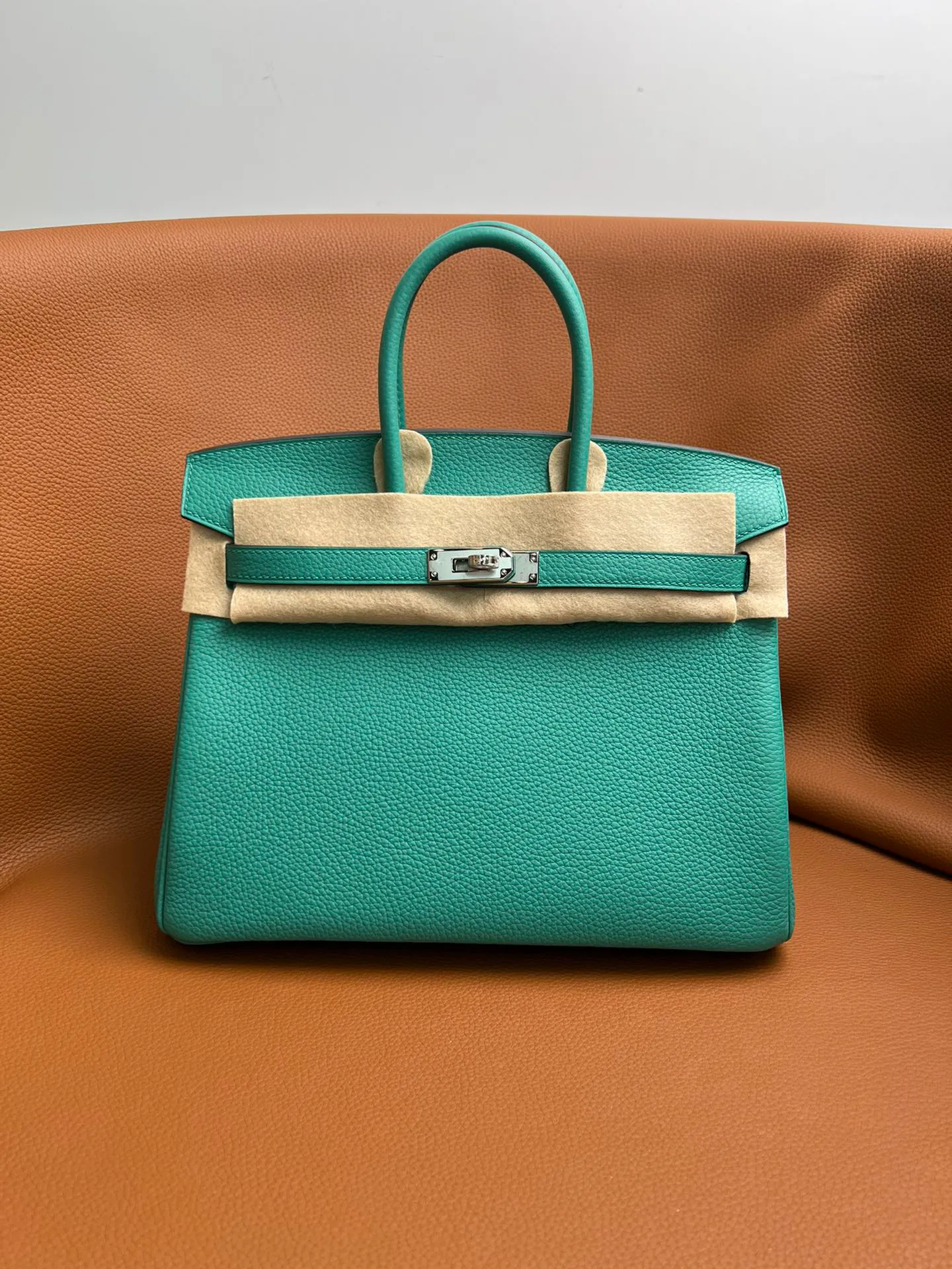 Birkin 25/30/35 Bag Vert Verone (Verona Green) Togo Leather