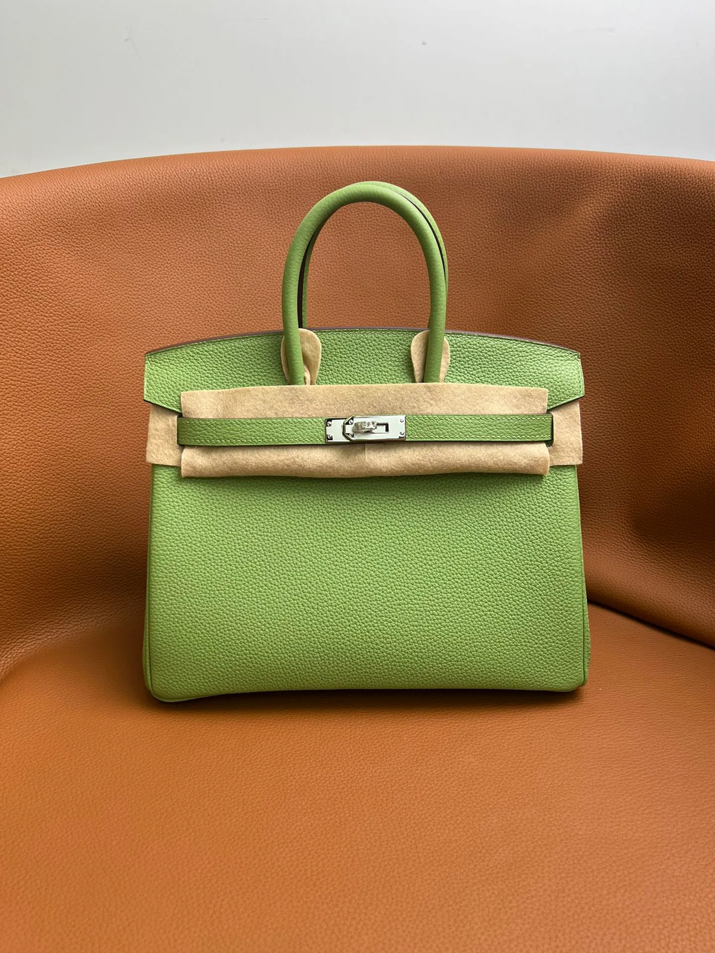 Birkin 25/30/35 Bag Vert Criquet (Avocado Green) Togo Leather