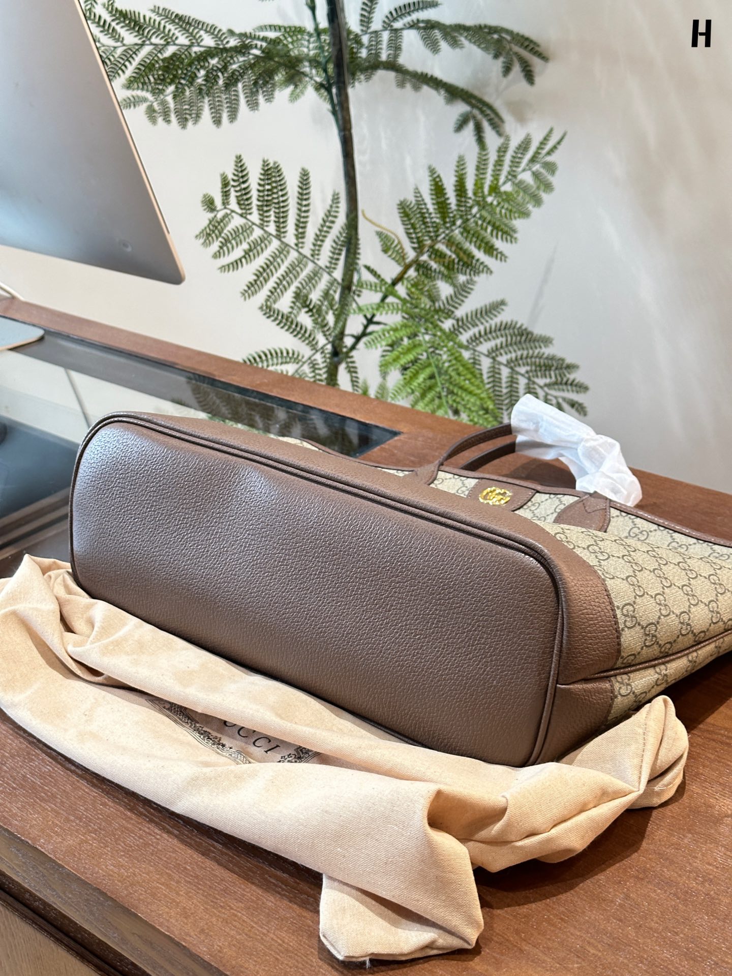 Ophidia mini tote bag  Z1