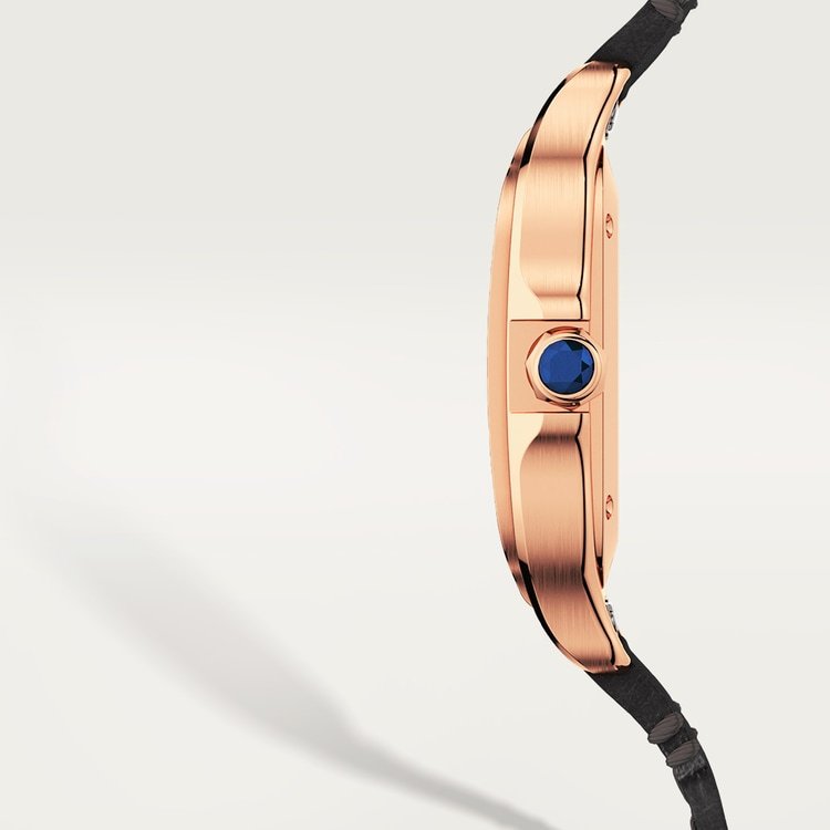 SANTOS DE WATCH MEDIUM MODEL