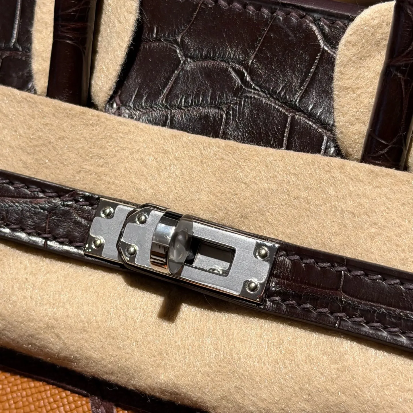 Birkin 20/25 Bag Day Faubourg (Day‑Light House)