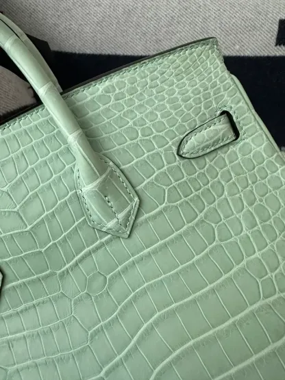 Herthtmes Birkin 20/25/30 Sellier Vert D'eau Matte Alligator Gold Hardware