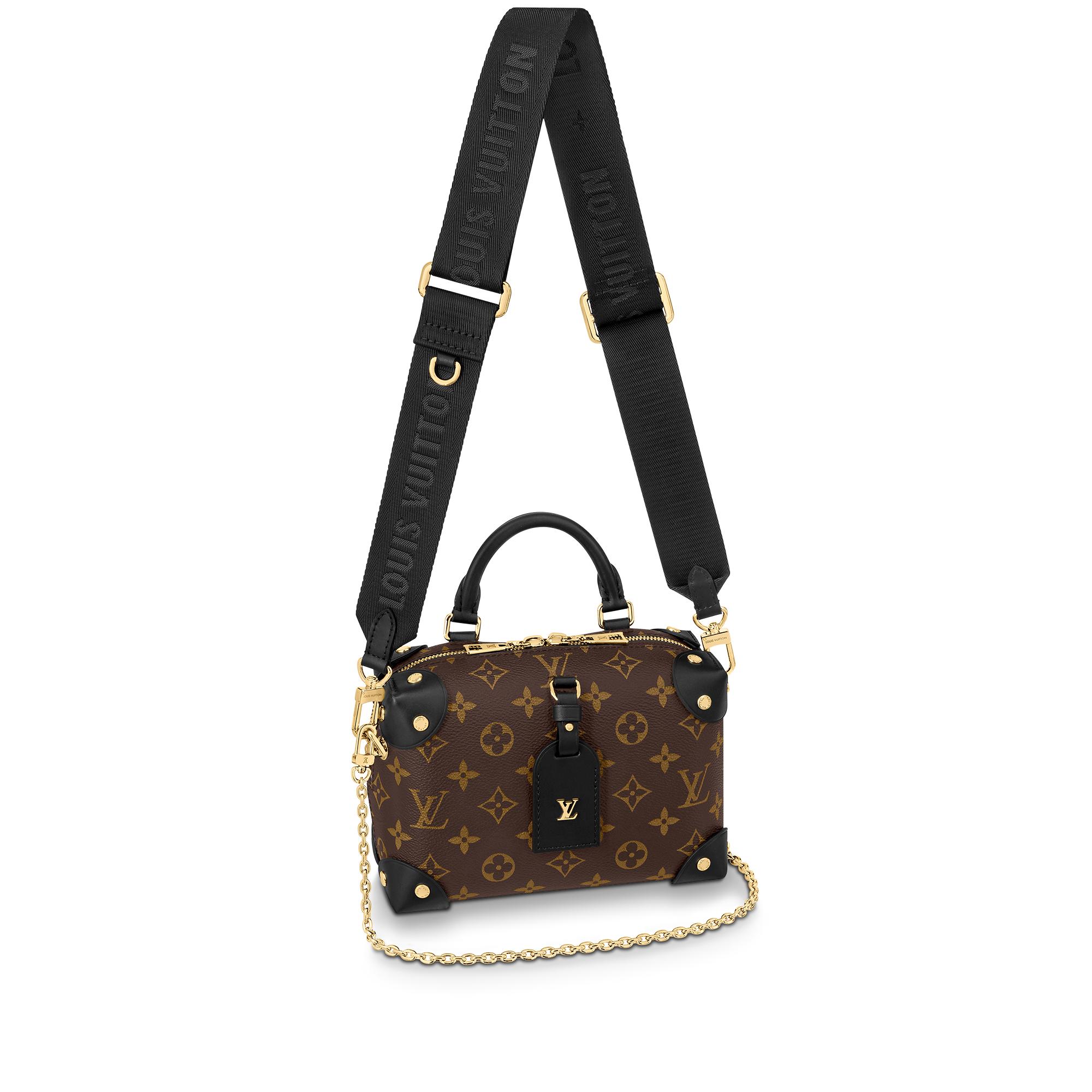 Petite Malle Souple M45571