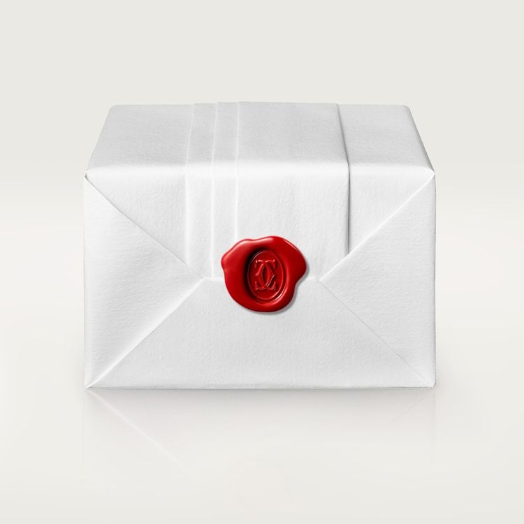 PANTHÈRE DE BRACELET