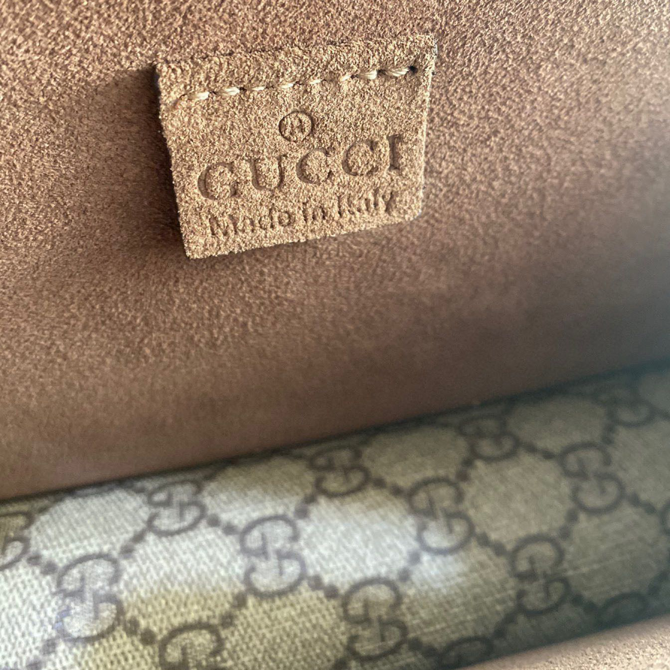 Dionysus mini shoulder bag