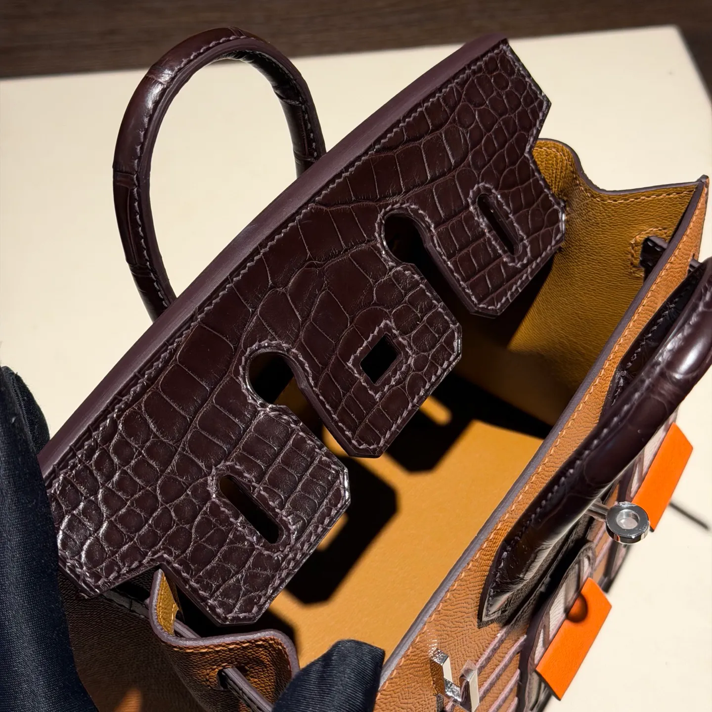 Birkin 20/25 Bag Day Faubourg (Day‑Light House)