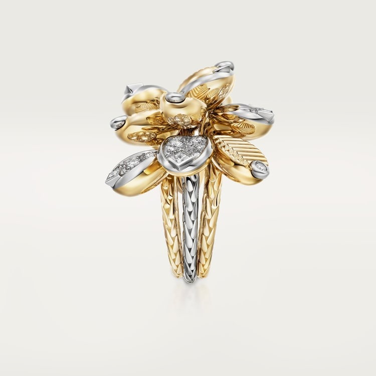 Grain de Café ring