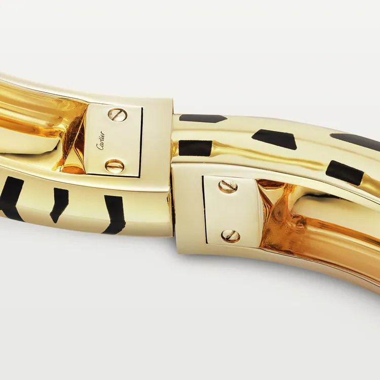 Indomptables de bracelet