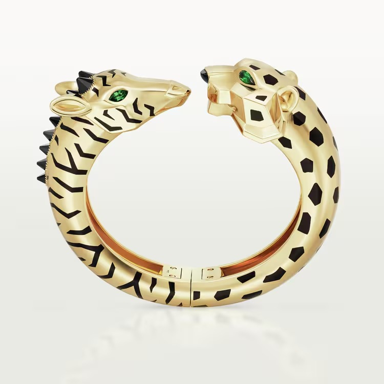 Indomptables de bracelet