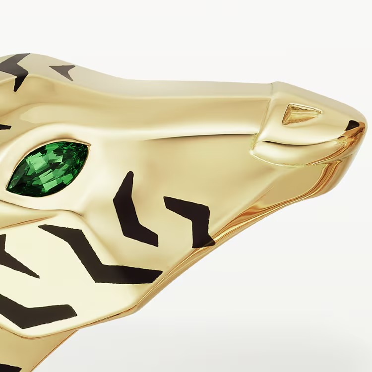 Indomptables de bracelet