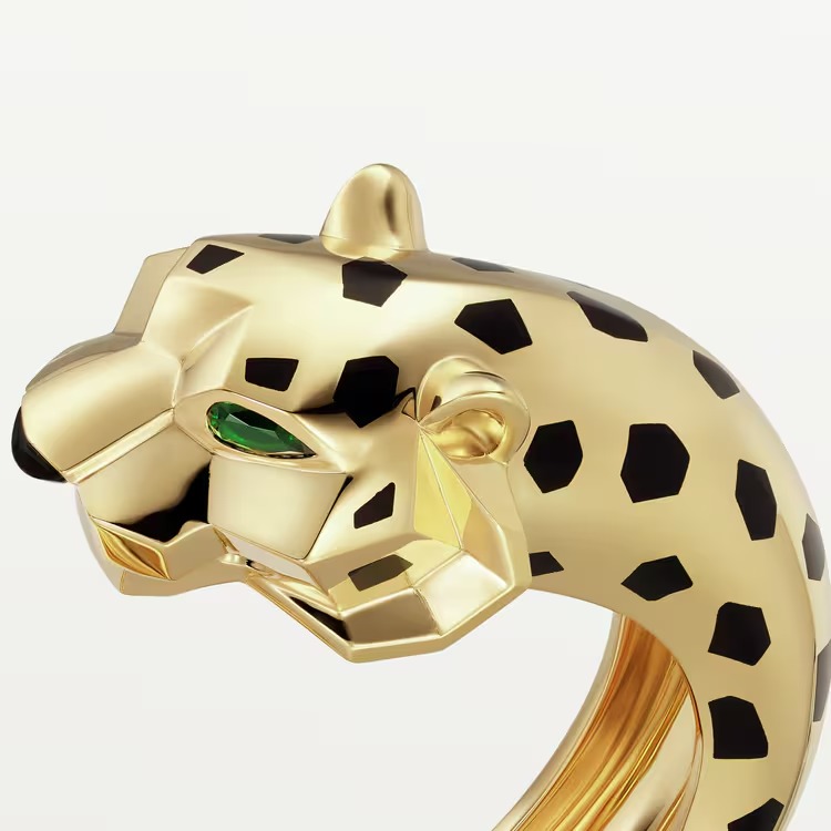 Indomptables de bracelet