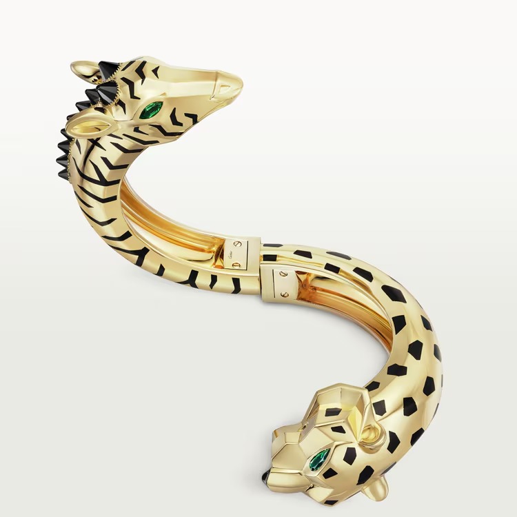 Indomptables de bracelet