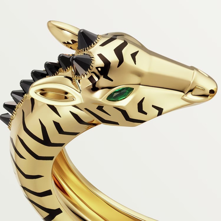 Indomptables de bracelet