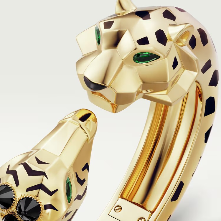 Indomptables de bracelet