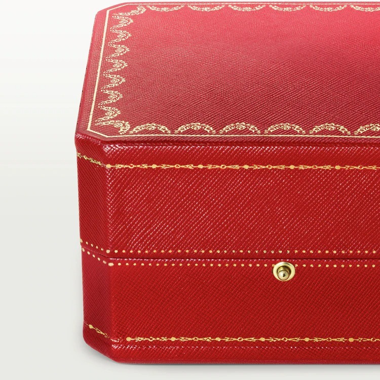 Indomptables de bracelet