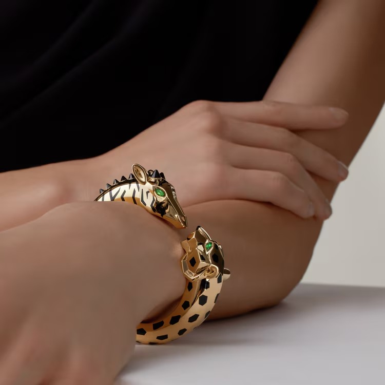 Indomptables de bracelet