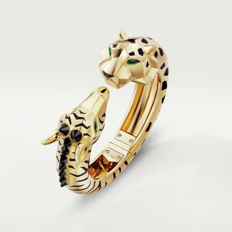 Indomptables de bracelet