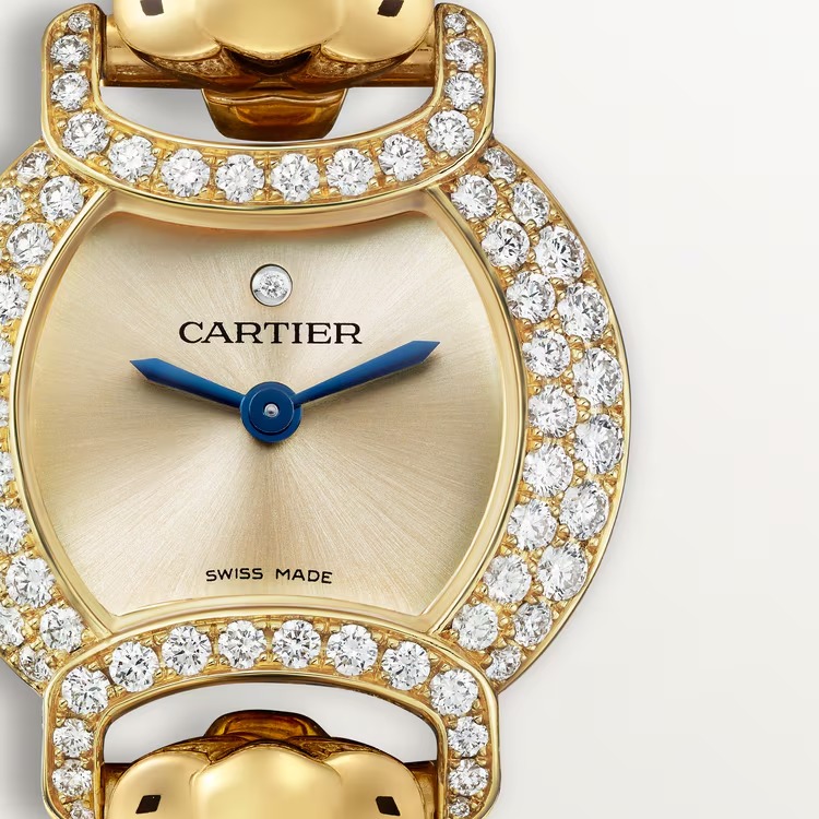La Panthère de Carthttier Watch