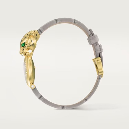 La Panthère de Carthttier Watch