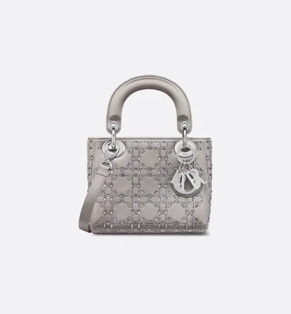 Mini Lady Dithtor Bag