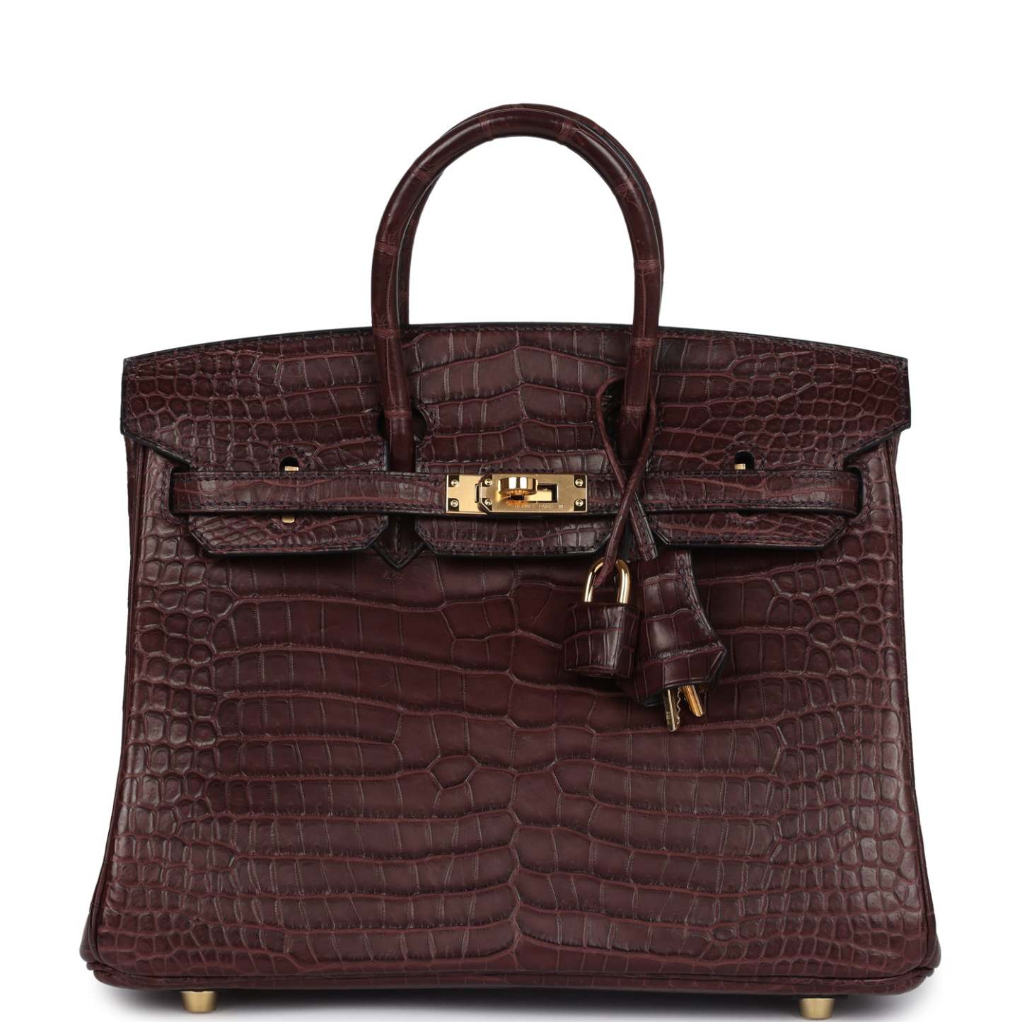 herthtmes Birkin 25 Rouge Sellier Matte Porosus Crocodile Gold Hardware