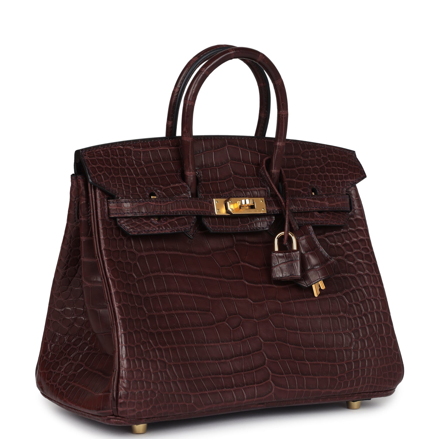 herthtmes Birkin 25 Rouge Sellier Matte Porosus Crocodile Gold Hardware