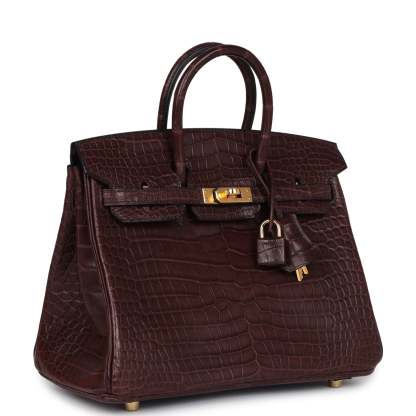 herthtmes Birkin 25 Rouge Sellier Matte Porosus Crocodile Gold Hardware