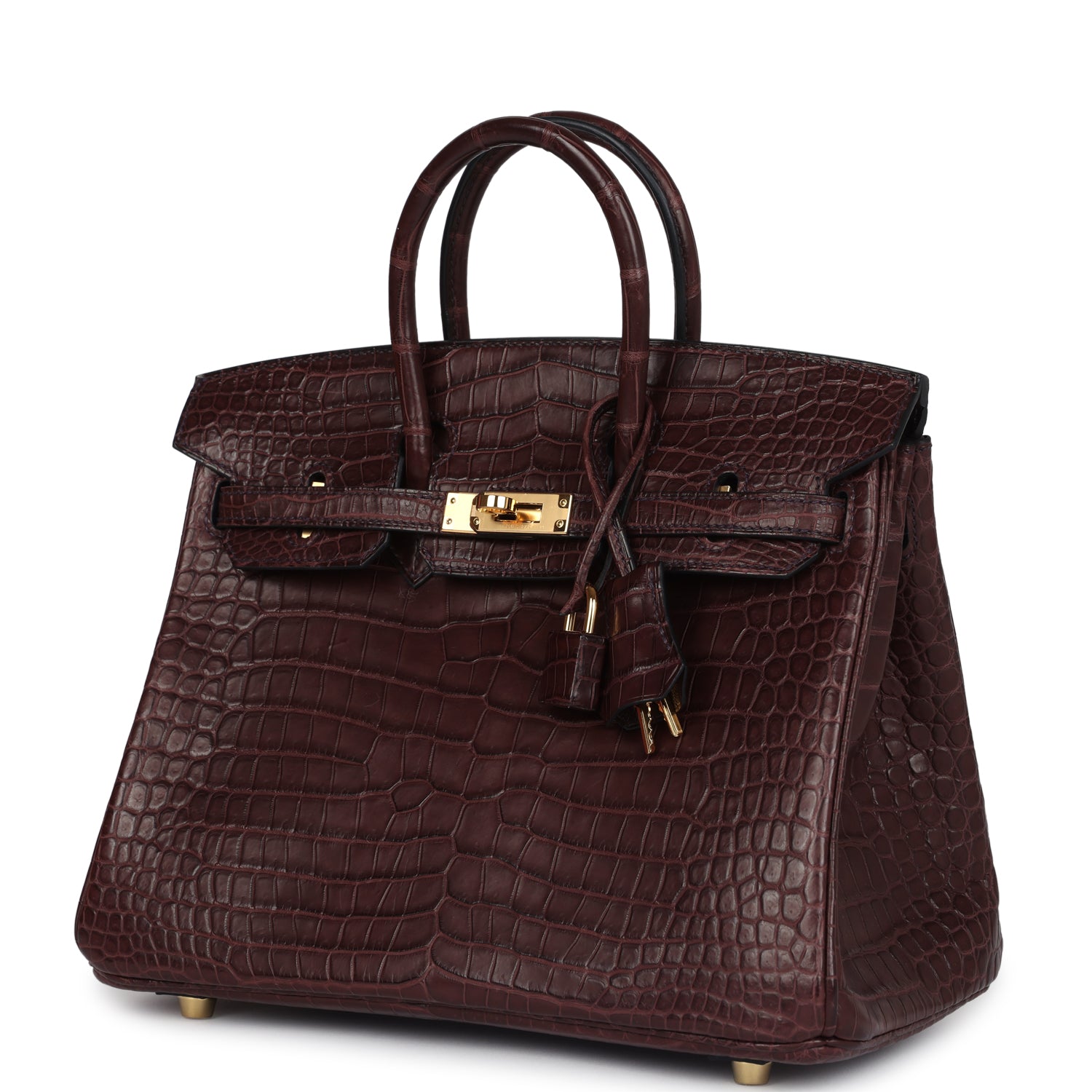 herthtmes Birkin 25 Rouge Sellier Matte Porosus Crocodile Gold Hardware