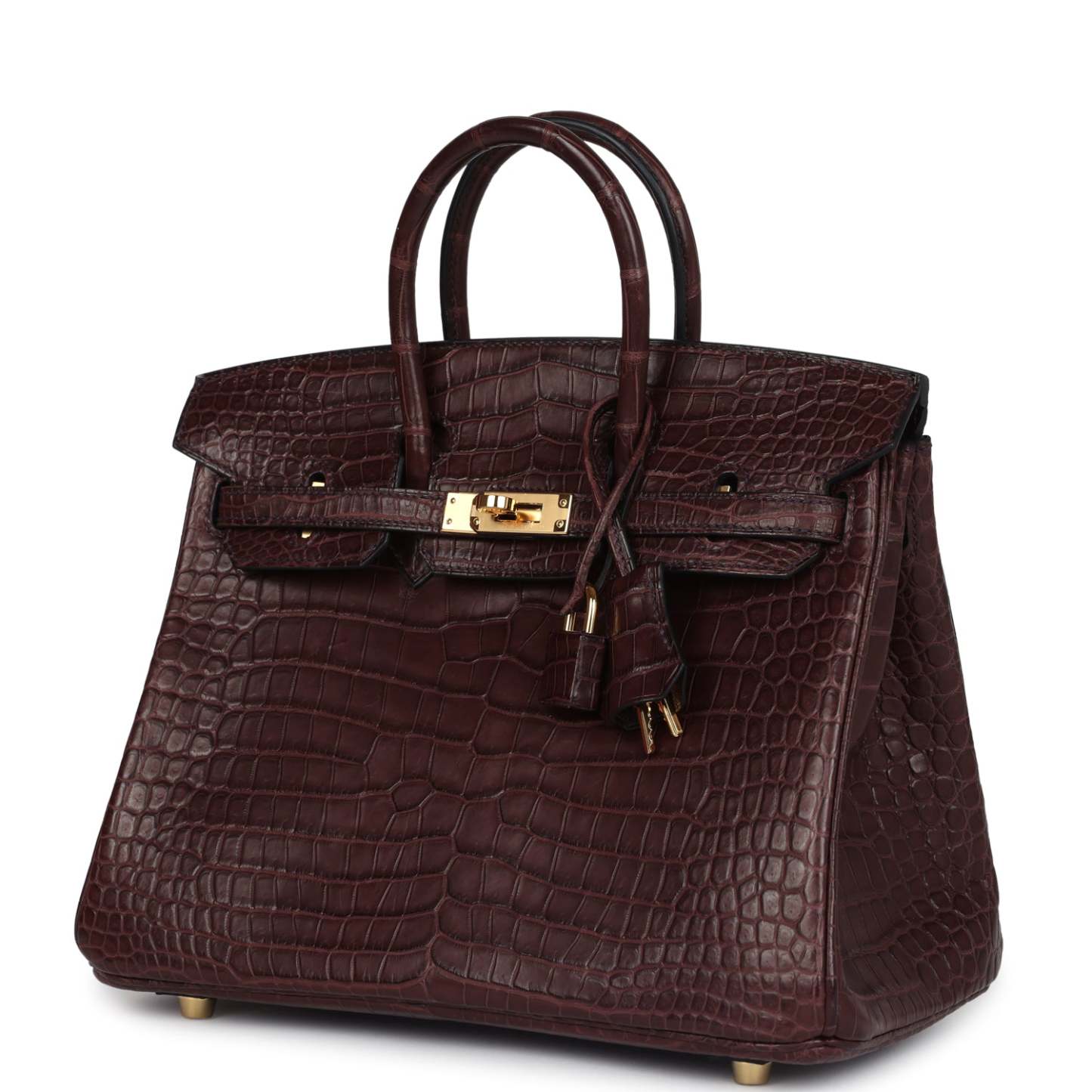 herthtmes Birkin 25 Rouge Sellier Matte Porosus Crocodile Gold Hardware