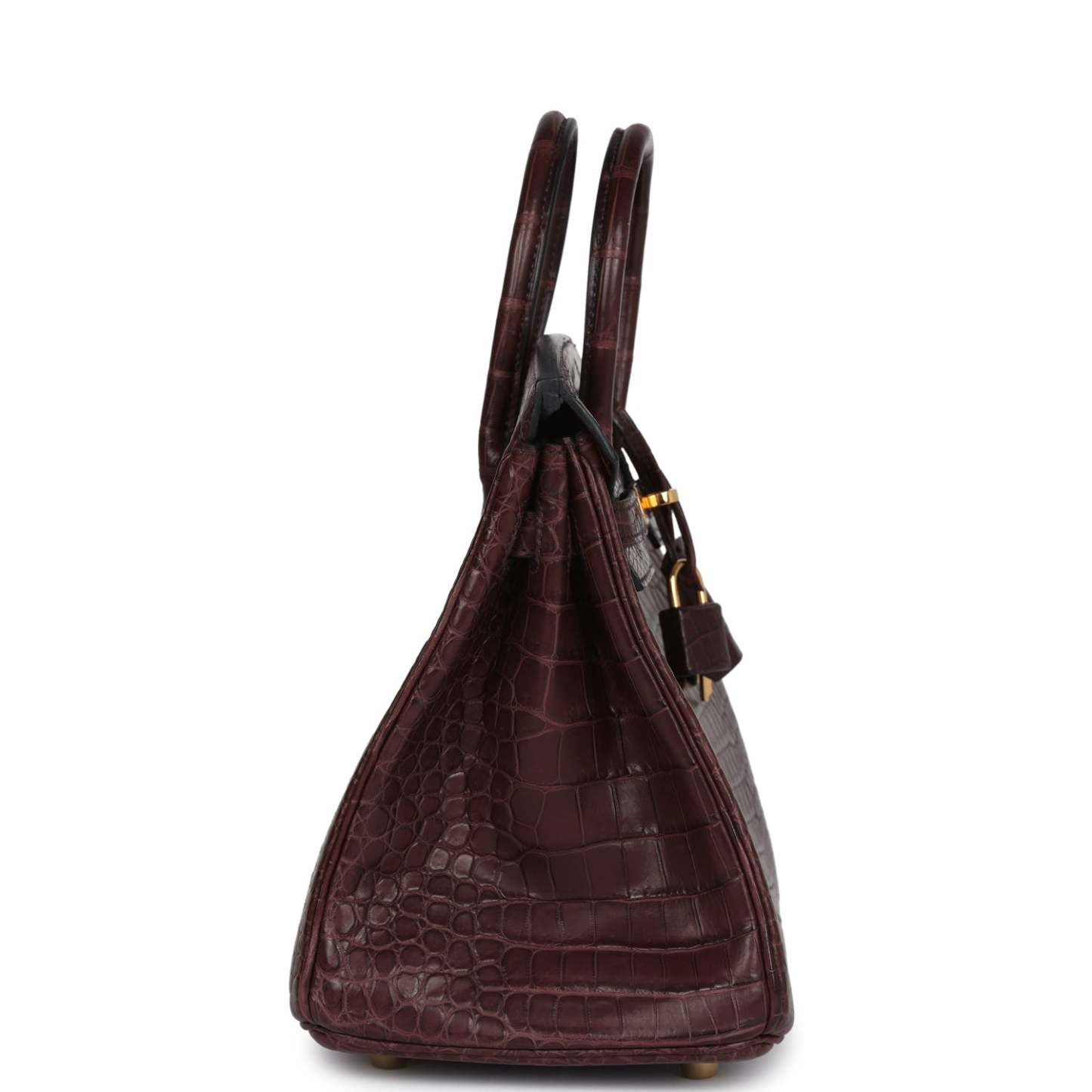 herthtmes Birkin 25 Rouge Sellier Matte Porosus Crocodile Gold Hardware