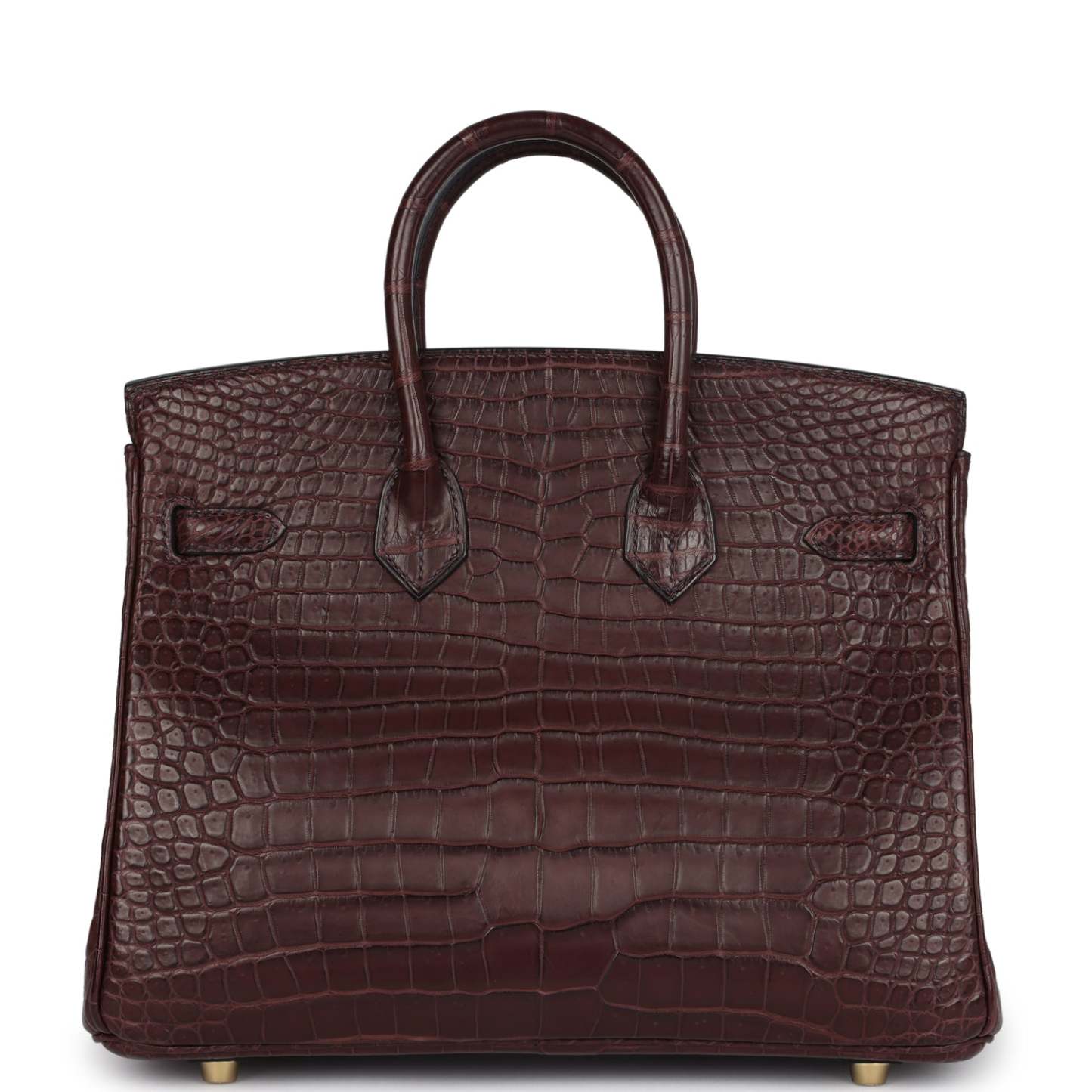 herthtmes Birkin 25 Rouge Sellier Matte Porosus Crocodile Gold Hardware