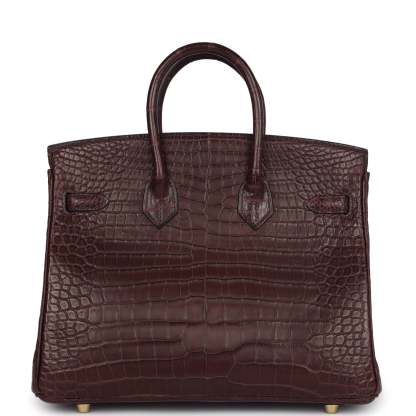 herthtmes Birkin 25 Rouge Sellier Matte Porosus Crocodile Gold Hardware